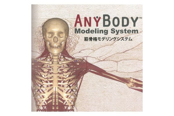 MVN-AnyBody(テラバイト)