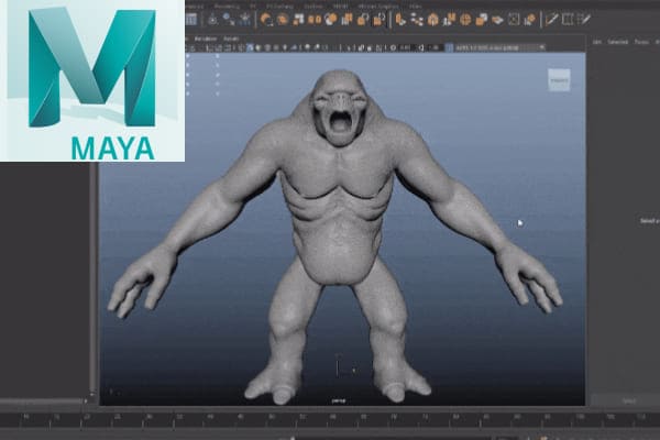 MVN_Maya_Autodesk